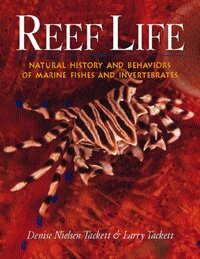 Reef life cover.jpg