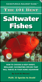 101BestSaltwaterFishes.gif