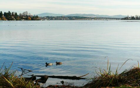 Lake-Washington.jpg