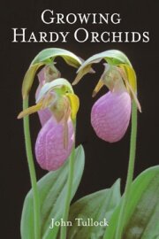 Growing hardy orchids.jpg